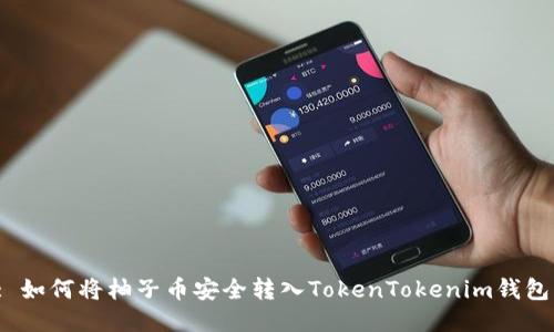 : 如何将柚子币安全转入TokenTokenim钱包？