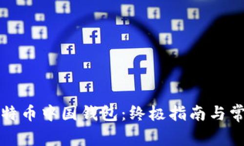 如何下载比特币中国钱包:终极指南与常见问题解析