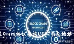 如何通过Omni协议查询USD