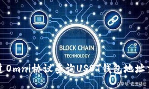 如何通过Omni协议查询USDT钱包地址交易记录