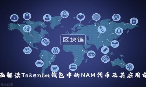 全面解读Tokenim钱包中的NAM代币及其应用前景