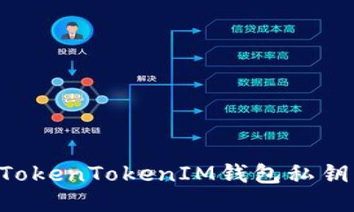 如何设置TokenTokenIM钱包私钥：全面指南