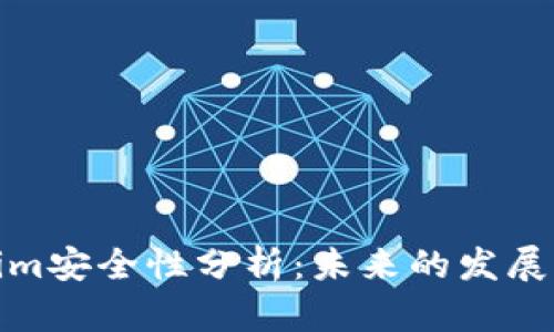 Tokenim安全性分析:未来的发展与挑战