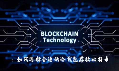: 如何选择合适的冷钱包存放比特币