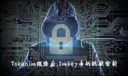 Tokenim跑路后，Imkey币的现状分析