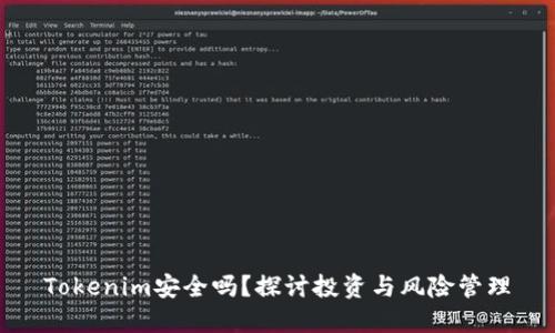 Tokenim安全吗?探讨投资与风险管理