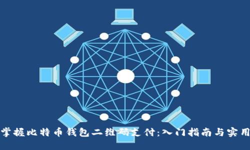 轻松掌握比特币钱包二维码支付：入门指南与实用技巧