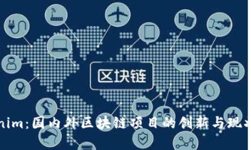 Tokenim：国内外区块链项目的创新与现状分析