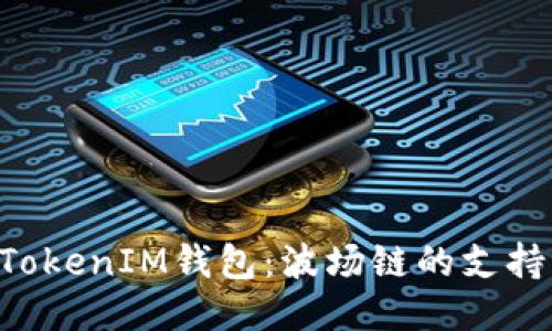 探索TokenTokenIM钱包：波场链的支持与使用指南