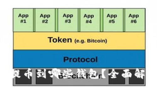 XRP可以提币到哪些钱包?全面解析与推荐