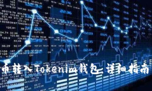 如何将NFT币转入Tokenim钱包：详细指南与注意事项