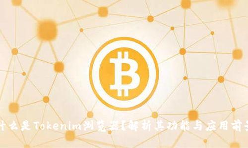 什么是Tokenim浏览器？解析其功能与应用前景