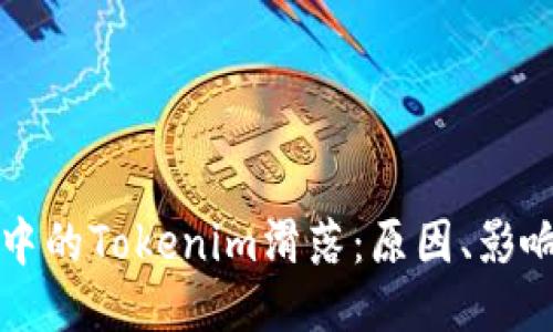 以太坊生态中的Tokenim滑落：原因、影响与未来趋势