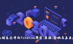 以太坊生态中的Tokenim滑落