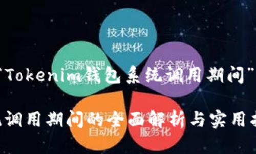 好的，下面是关于“Tokenim钱包系统调用期间”的、关键词及大纲。

Tokenim钱包系统调用期间的全面解析与实用指南