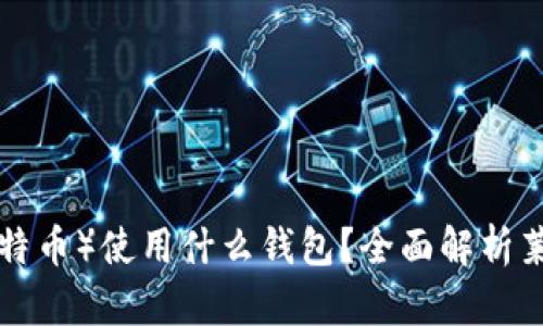 ### LTC（莱特币）使用什么钱包？全面解析莱特币钱包选择