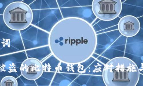 # 与关键词

如何处理被盗的比特币钱包：应对措施与预防策略