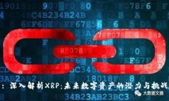 : 深入解析XRP：未来数字资
