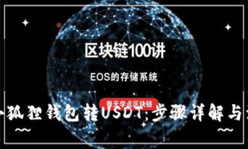 如何向小狐狸钱包转USDT：步骤详解与注意事项