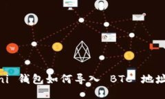 USDT Omni 钱包如何导入 BT