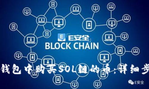 如何在TP钱包中购买SOL链的币：详细步骤与指南