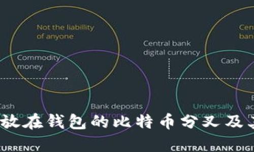  了解放在钱包的比特币分叉及其影响