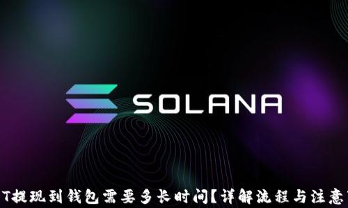 
USDT提现到钱包需要多长时间？详解流程与注意事项