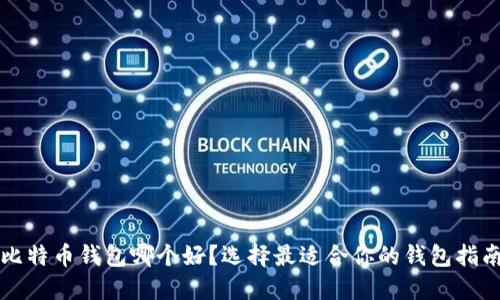 比特币钱包哪个好？选择最适合你的钱包指南