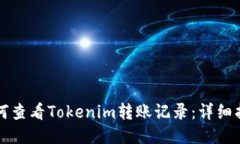 如何查看Tokenim转账记录：