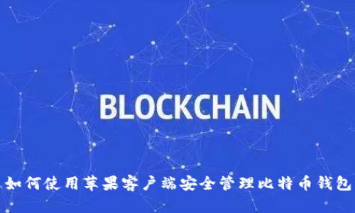 如何使用苹果客户端安全管理比特币钱包