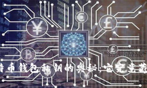 探索比特币钱包私钥的奥秘：它究竟藏在哪里？