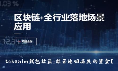tokenim钱包被盗：能否追回丢失的资金？