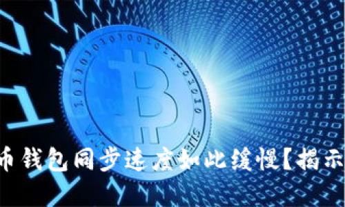 为什么狗狗币钱包同步速度如此缓慢？揭示背后的秘密！