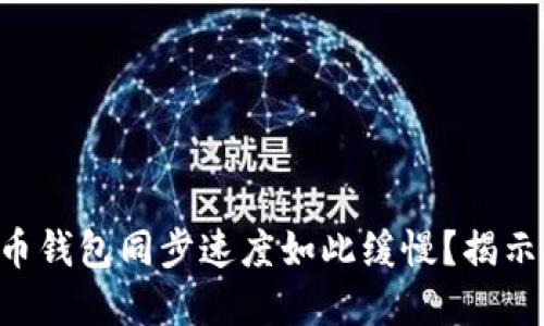 为什么狗狗币钱包同步速度如此缓慢？揭示背后的秘密！