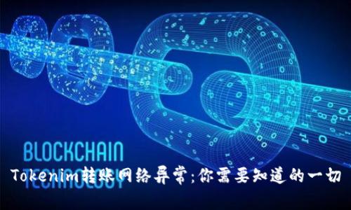 Tokenim转账网络异常：你需要知道的一切