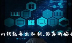 Tokenim钱包导出私钥，你真