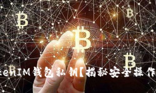 如何找回TokenIM钱包私钥？揭秘安全操作的关键步骤！