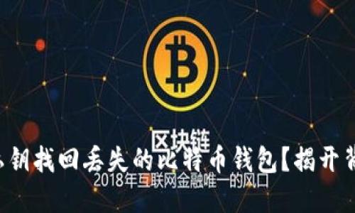 如何通过私钥找回丢失的比特币钱包？揭开背后的秘密！