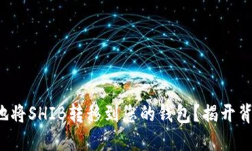 如何安全地将SHIB转移到您的钱包？揭开背后的秘密！