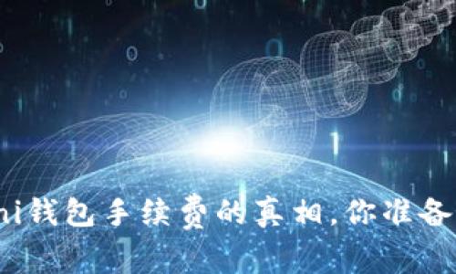 揭秘！Uni钱包手续费的真相，你准备好了吗？