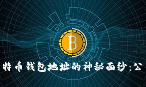 bioati揭开比特币钱包地址的神秘面纱：公钥背后的故事