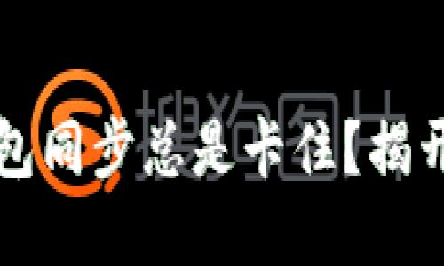 为什么比特币钱包同步总是卡住？揭开背后的神秘面纱