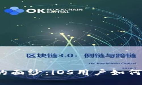 揭开比特币冷钱包的面纱：iOS用户如何安全存储数字资产？