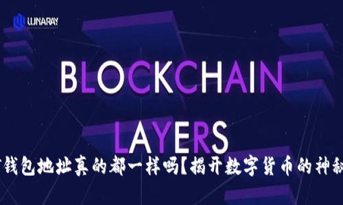 USDT钱包地址真的都一样吗？揭开数字货币的神秘面纱