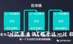 如何进行TokenIM记录查询？