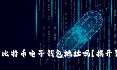 你真的了解比特币电子钱包地址吗？揭开背后的秘密！