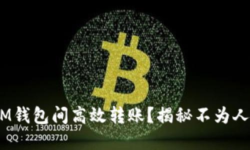如何在TokenTokenIM钱包间高效转账？揭秘不为人知的技巧与安全策略