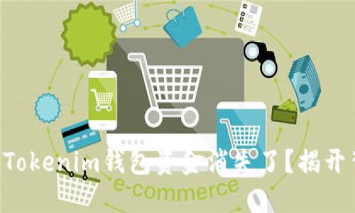 为什么你的Tokenim钱包资金消失了?揭开背后的秘密!