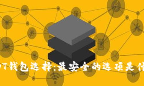 USDT钱包选择：最安全的选项是什么？