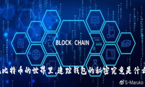 在比特币的世界里，追踪钱包的秘密究竟是什么？